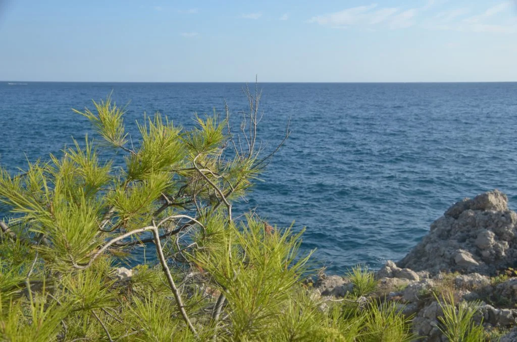 Cap d'Ail - Dreams World - Blog voyage
