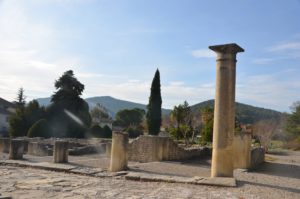 1 journée à Vaison la Romaine 58