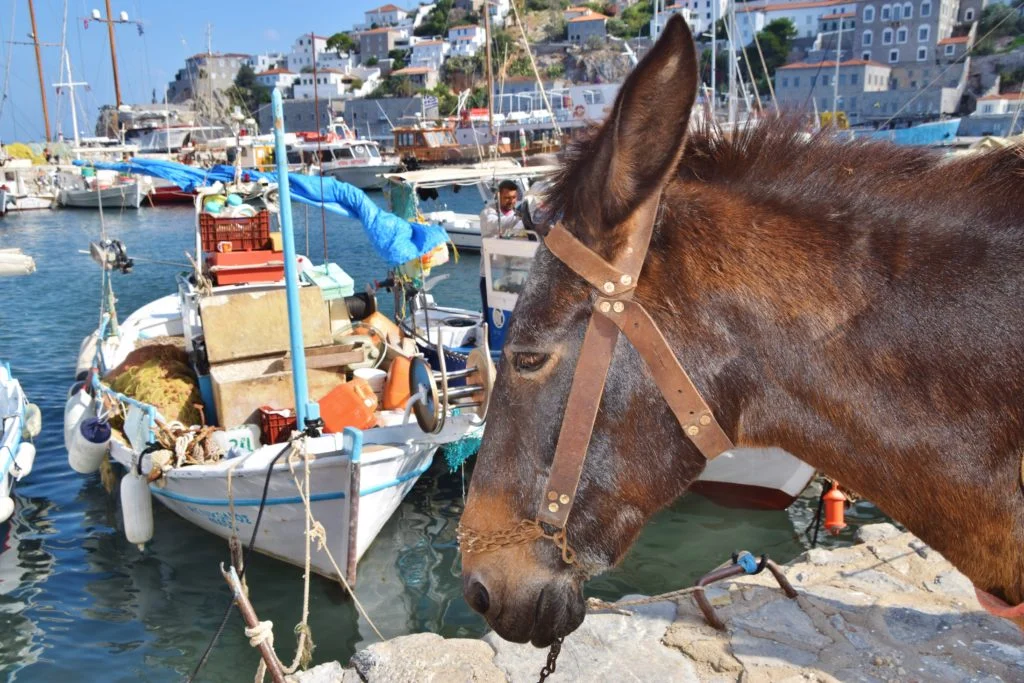 Grèce - Dreams World - Blog voyage