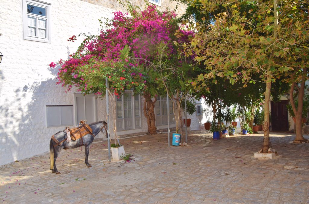 Grèce - Dreams World - Blog voyage