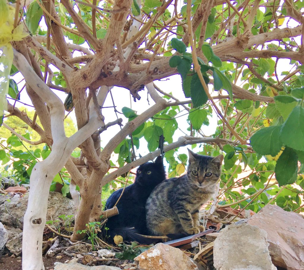 Grèce - Dreams World - Blog voyage