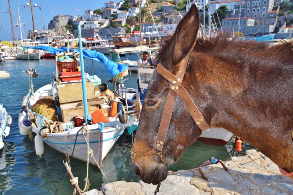 Grèce - Dreams World - Blog voyage