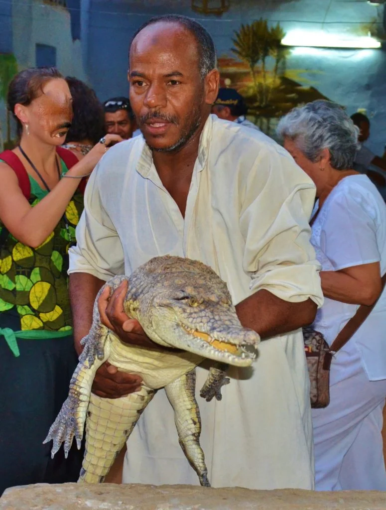 Egypte - Croisière sur le Nil - Dreams World - Blog voyage