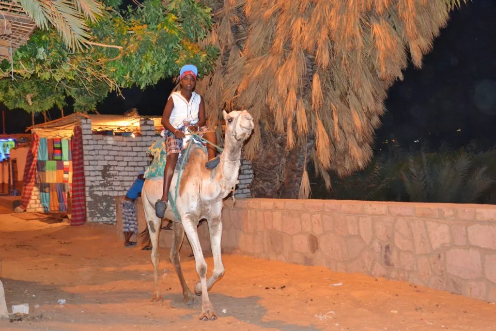 Egypte - Croisière sur le Nil - Dreams World - Blog voyage