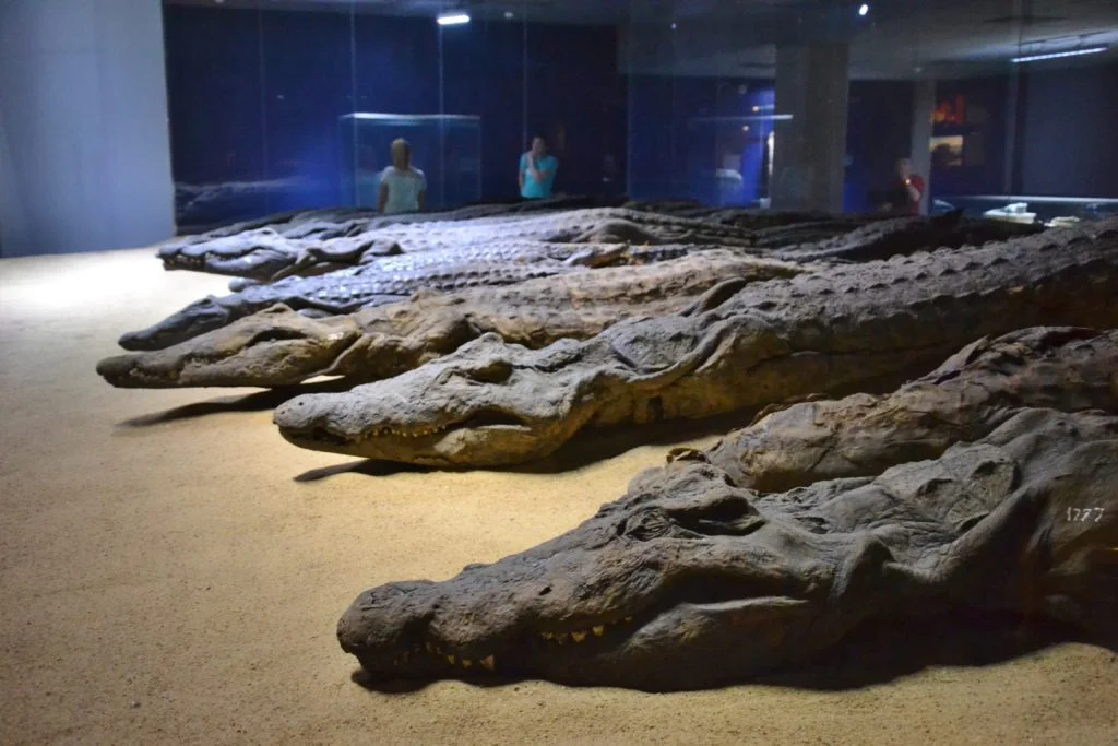 Egypte - Croisière sur le Nil - Dreams World - Blog voyage