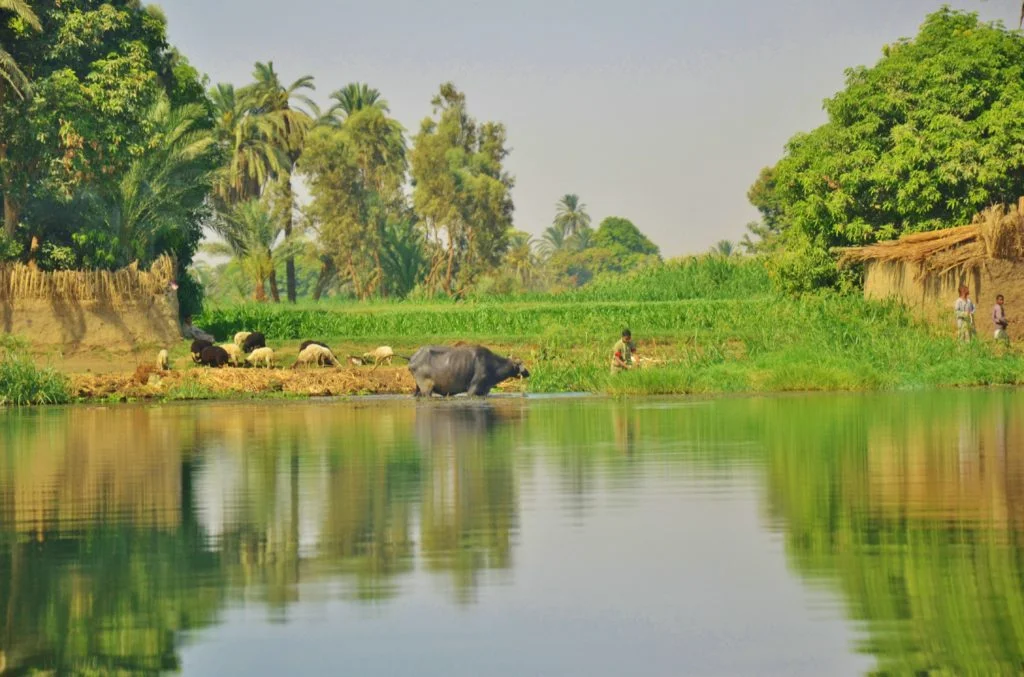 Egypte - Croisière sur le Nil - Dreams World - Blog voyage