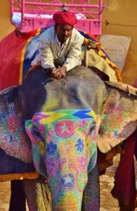 Portrait d'Inde - Dreams World - Blog Voyage