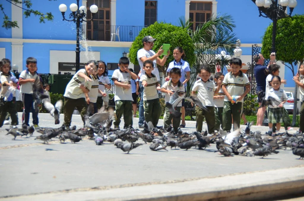 Mexique - Campeche - Dreams World - Blog voyage