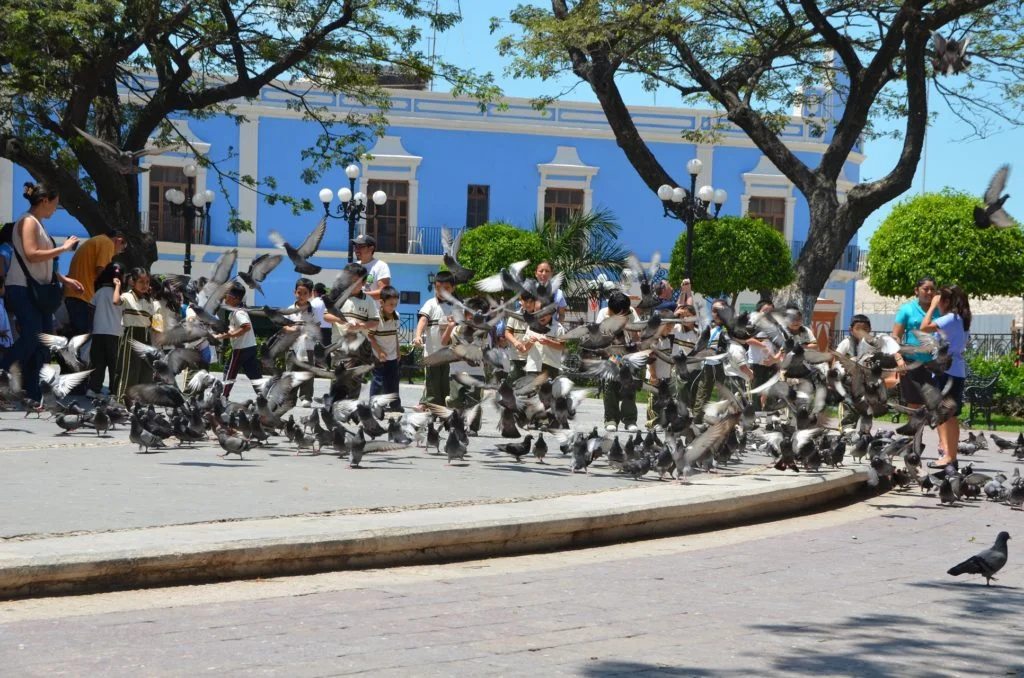 Mexique - Campeche - Dreams World - Blog voyage