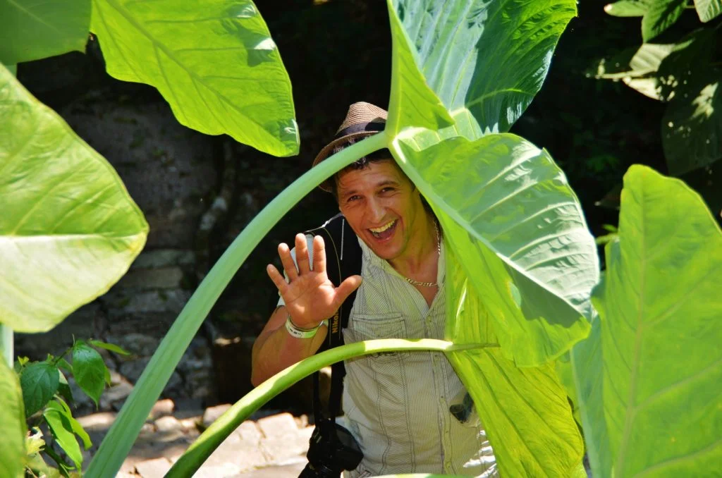 Mexique - Palenque - Dreams World - Blog voyage