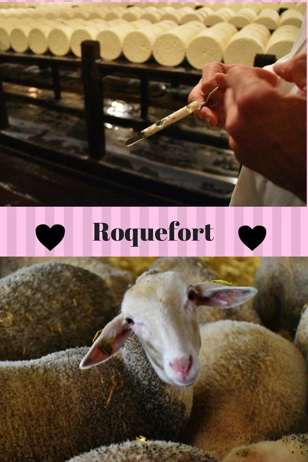Roquefort - Aveyron - Dreams World - Blog voyage Roquefort - Aveyron - Dreams World - Blog voyage