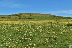 1 semaine en aveyron laguiole champ dreams world