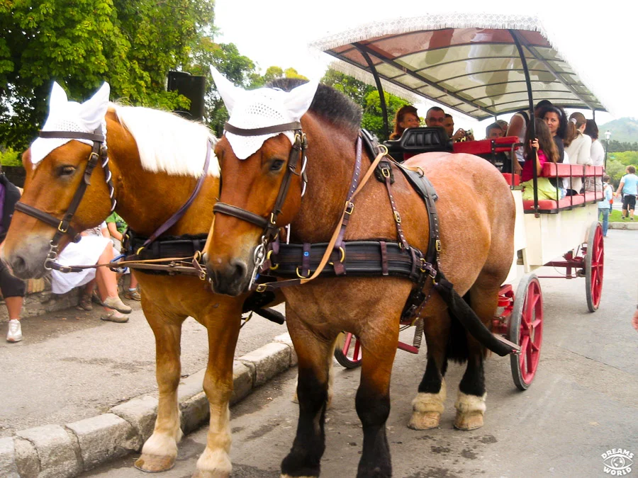 La cité médiévale de Carcassonne - Dreams World - Blog voyage