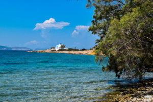 Amorgos katapola cyclade grece plage arbre