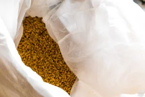 1 journée sur la Cote d'opale Brasserie des 2 caps