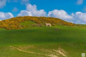 1 journée sur la cote d'opale cap blanc nez