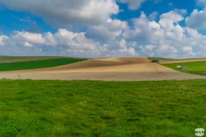 1 journée sur la cote d'opale cap blanc nez