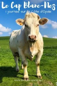 1 journée sur la cote d'opale cap blanc nez