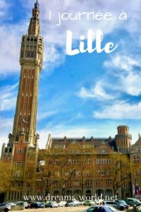 1 journée à lille