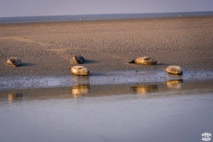 Week-end sur la Côte d'Opale