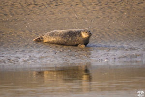 Week-end sur la Côte d'Opale