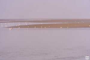 Week-end sur la Côte d'Opale