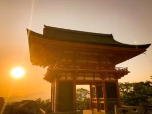 japon bilan 2019 dreams world