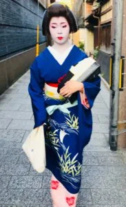 japon bilan 2019 dreams world