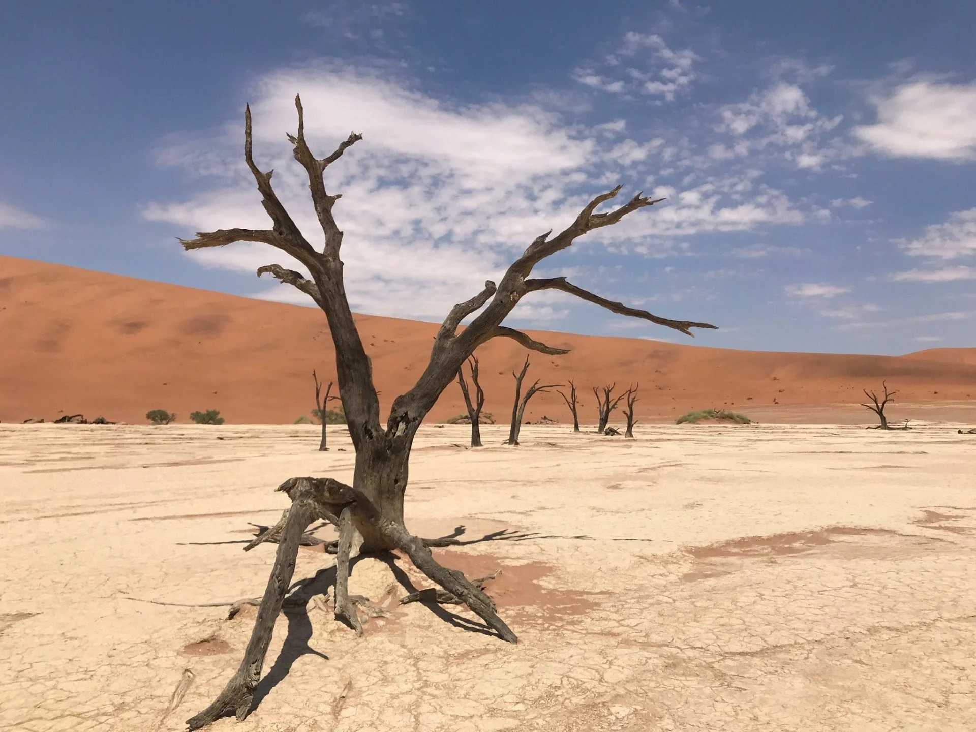 namibie 50 voyages de reve dreams world namibie 50 voyages de reve dreams world