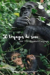50 voyage de reves dreams world 50 voyage de reves dreams world