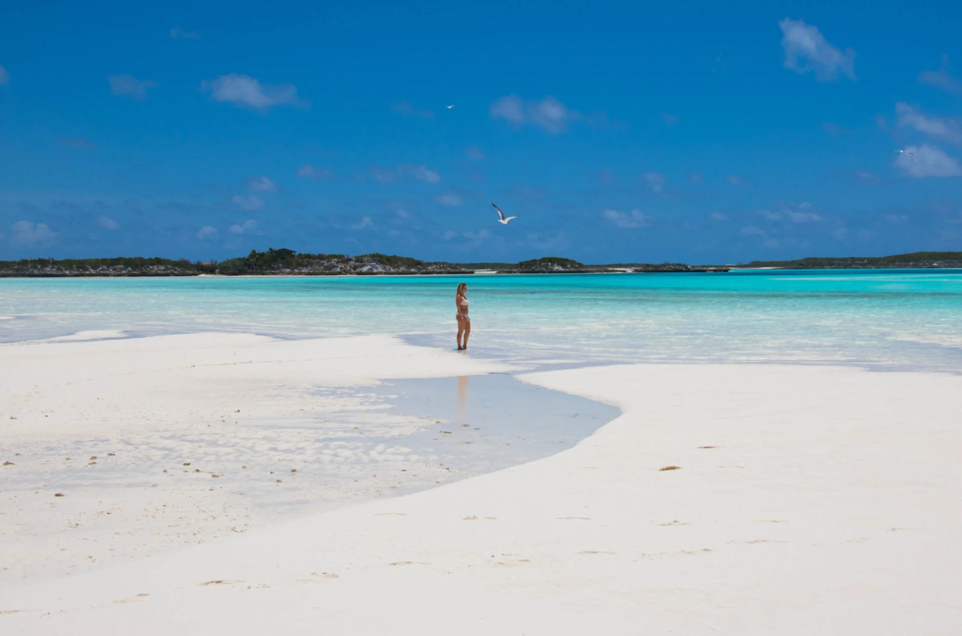 bahamas 50 voyages de reves dreams world bahamas 50 voyages de reves dreams world