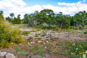 Visiter le Grand Canyon en 1 journée dreams world