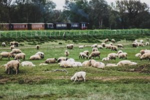 50 voyages de reve en france baie de somme dreams world