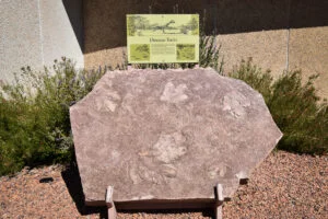 visiter Page en 1 journée antelope canyon horseshoe bend lac powell dreams world