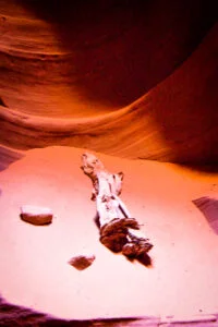 visiter Page en 1 journée antelope canyon horseshoe bend lac powell dreams world