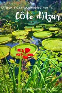 10 lieux incontournables sur la côte d'azur dreams world 16 10 lieux incontournables sur la côte d'azur dreams world 1