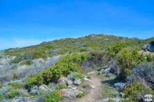 Sentier des douaniers Visiter le désert des Agriates en 1 journée dreams world