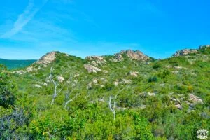 Visiter le désert des Agriates en 1 journée dreams world