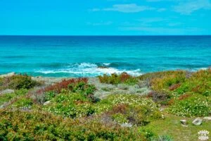 Sentier des douaniers Visiter le désert des Agriates en 1 journée dreams world