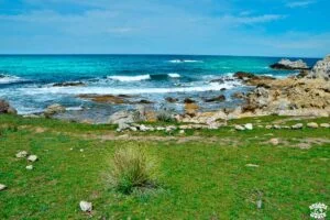 Sentier des douaniers Visiter le désert des Agriates en 1 journée dreams world