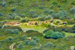 Visiter le désert des Agriates en 1 journée dreams world