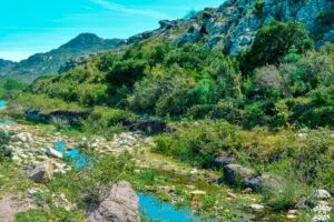 Visiter le désert des Agriates en 1 journée dreams world