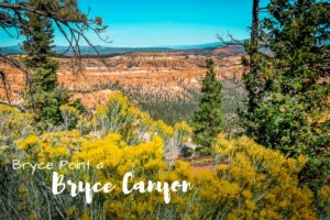 Bryce point Visiter Bryce Canyon en 1 journée