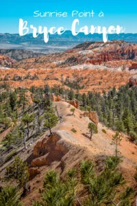 Visiter Bryce Canyon en 1 journée Visiter Bryce Canyon en 1 journée