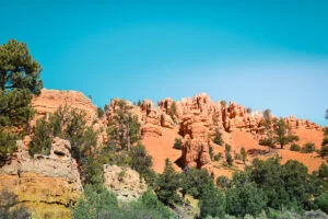 Visiter Bryce Canyon en 1 journée red canyon Visiter Bryce Canyon en 1 journée red canyon