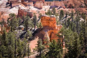 sunset point Visiter Bryce Canyon en 1 journée sunset point Visiter Bryce Canyon en 1 journée