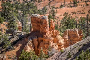 sunrise point Visiter Bryce Canyon en 1 journée sunrise point Visiter Bryce Canyon en 1 journée