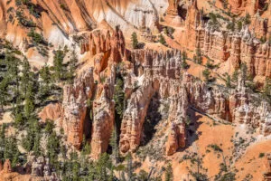 Bryce point Visiter Bryce Canyon en 1 journée Bryce point Visiter Bryce Canyon en 1 journée