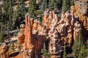 Bryce point Visiter Bryce Canyon en 1 journée Bryce point Visiter Bryce Canyon en 1 journée