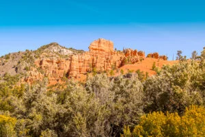 Visiter Bryce Canyon en 1 journée red canyon Visiter Bryce Canyon en 1 journée red canyon